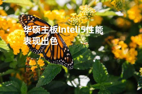 华硕主板+Intel i5- 性能表现出色
