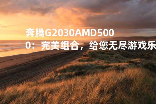 奔腾G2030 AMD 5000：完美组合，给您无尽游戏乐趣