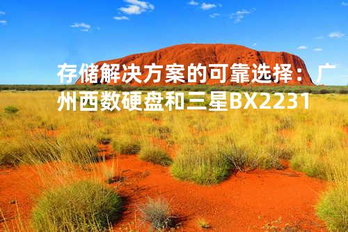存储解决方案的可靠选择：广州西数硬盘和三星 BX2231