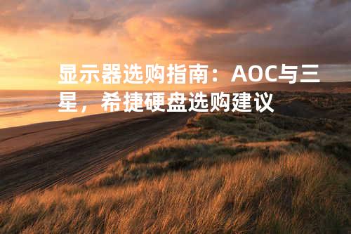 显示器选购指南：AOC 与三星，希捷硬盘选购建议
