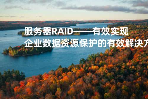 服务器 RAID——有效实现企业数据资源保护的有效解决方案
