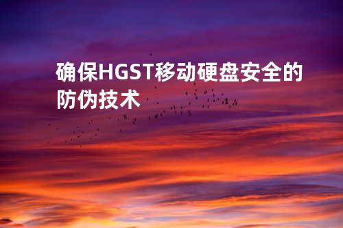 确保HGST移动硬盘安全的防伪技术