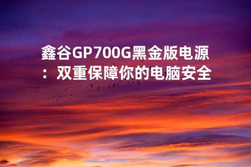 鑫谷 GP700G黑金版电源：双重保障你的电脑安全