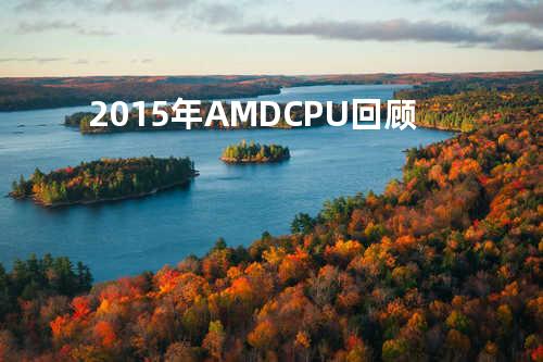 2015 年 AMD CPU 回顾