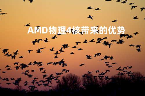 AMD物理4核带来的优势