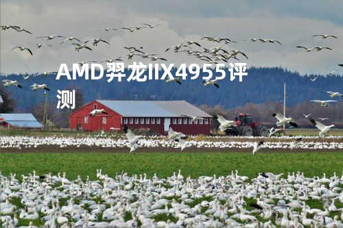 AMD 羿龙 II X4 955 评测