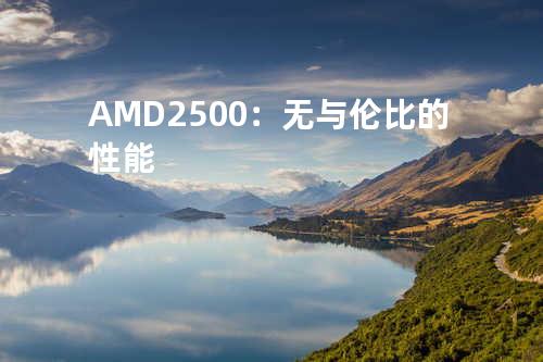 AMD2500：无与伦比的性能