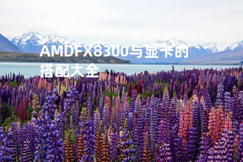 AMD FX8300与显卡的搭配大全