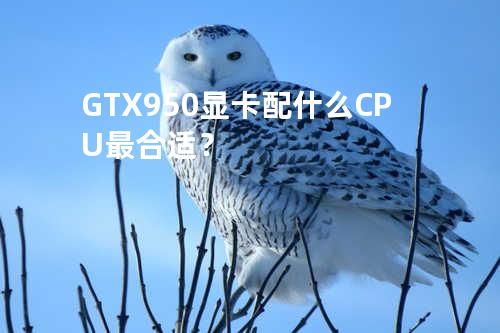 GTX950显卡配什么CPU最合适？