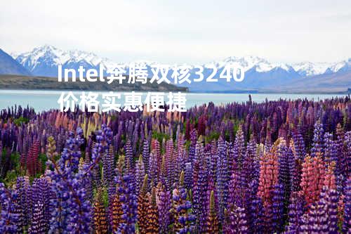 Intel 奔腾双核3240价格实惠便捷