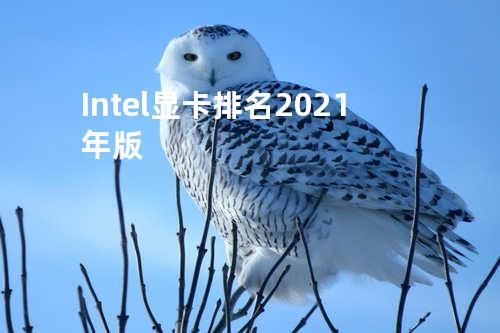 Intel显卡排名 2021 年版