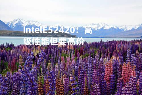 Intel E5 2420：高级性能但要高价